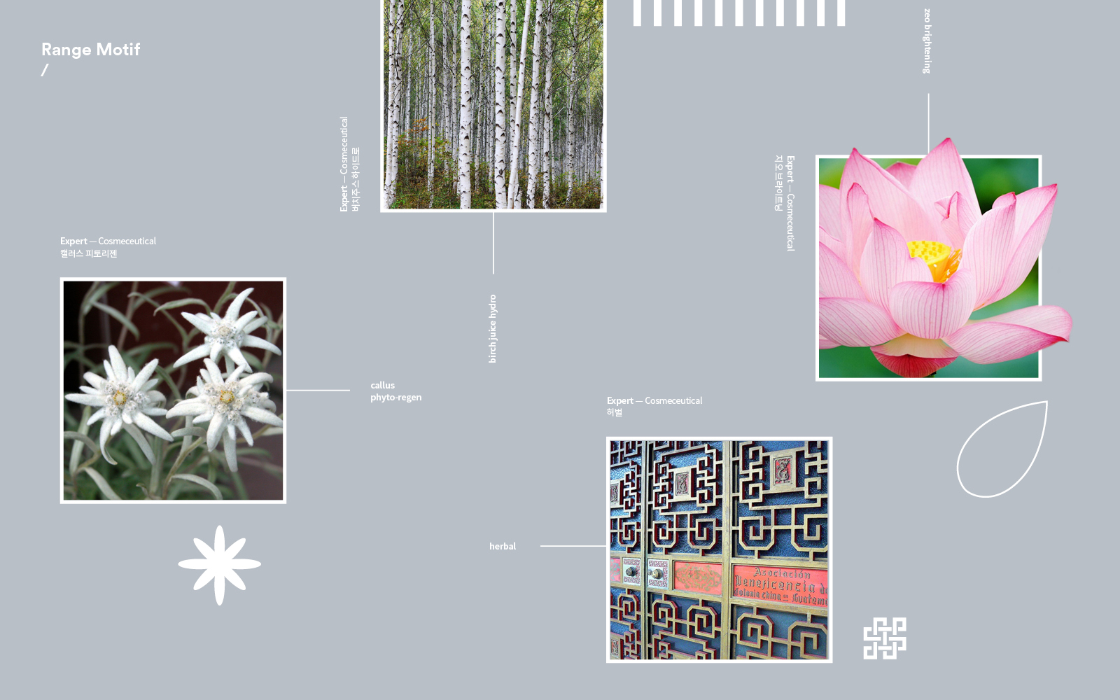 E NATURE — 17